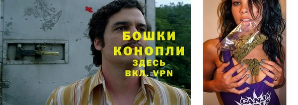 шишки Лагань