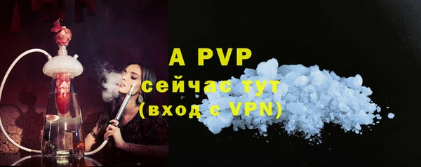 шишки Лагань