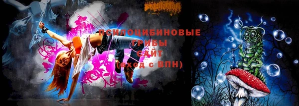 шишки Лагань