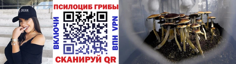 МЕГА рабочий сайт закладка Щучье Галлюциногенные грибы Psilocybe